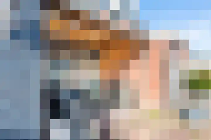 Twijnstop 47 Emmer-Compascuum thumbnail 23