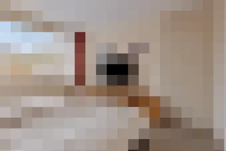 Twijnstop 55 Emmer-Compascuum thumbnail 14