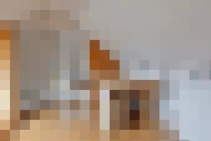 Twijnstop 55 Emmer-Compascuum thumbnail 22