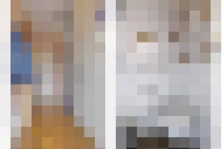 Twijnstop 55 Emmer-Compascuum thumbnail 4