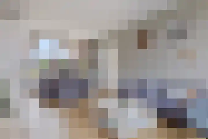 Twijnstop 55 Emmer-Compascuum thumbnail 7