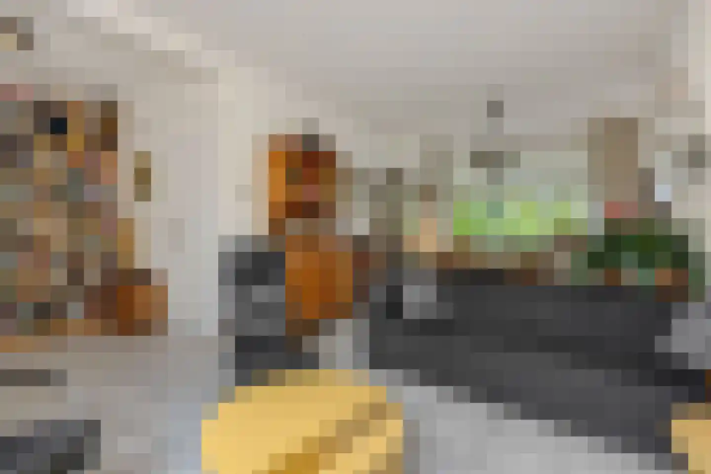 Twijnstraat 1 Vught thumbnail 8