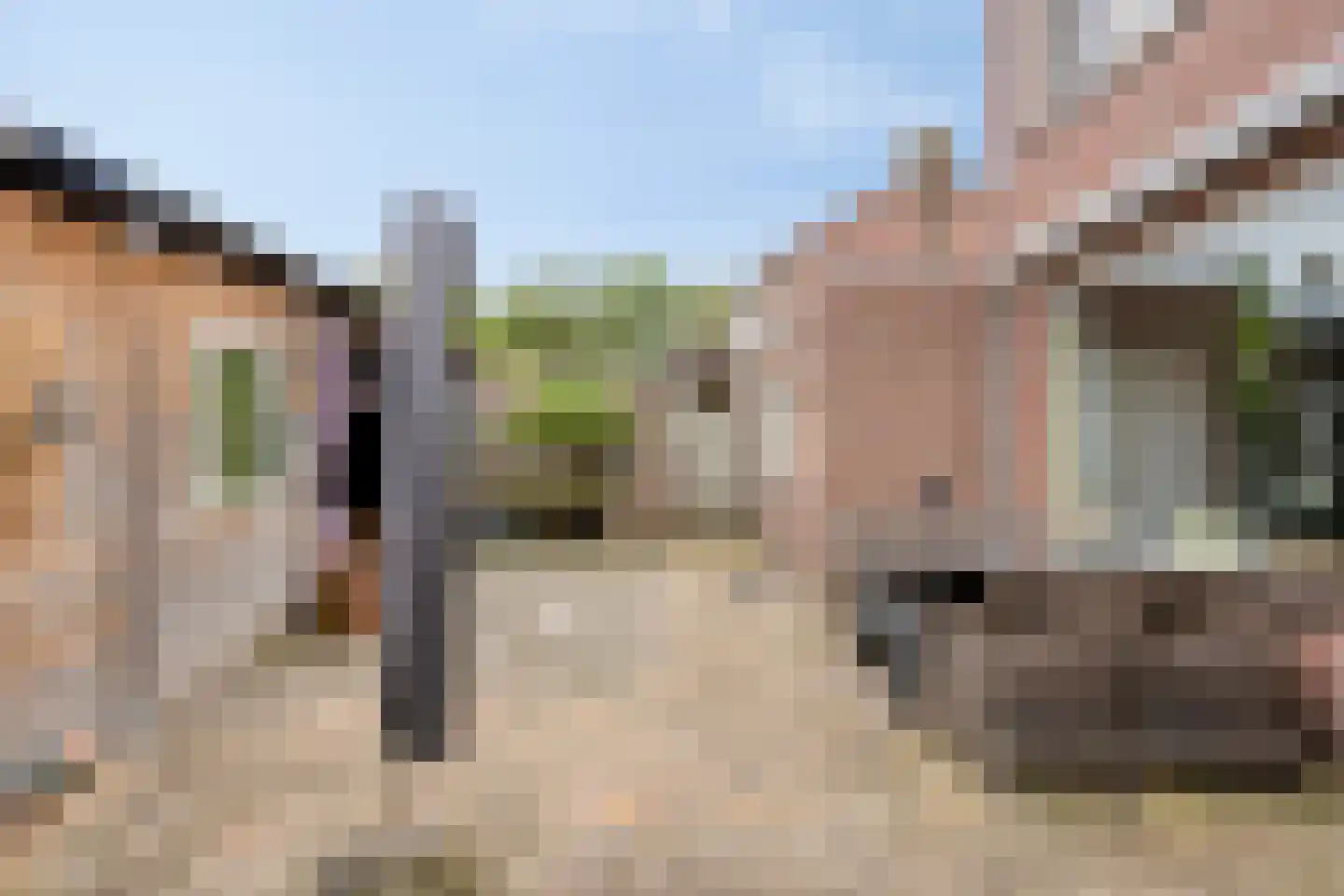 Twijnstraat 11 Vught thumbnail 27