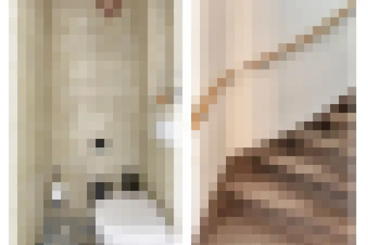 Twijnstraat 13 Geldrop thumbnail 10