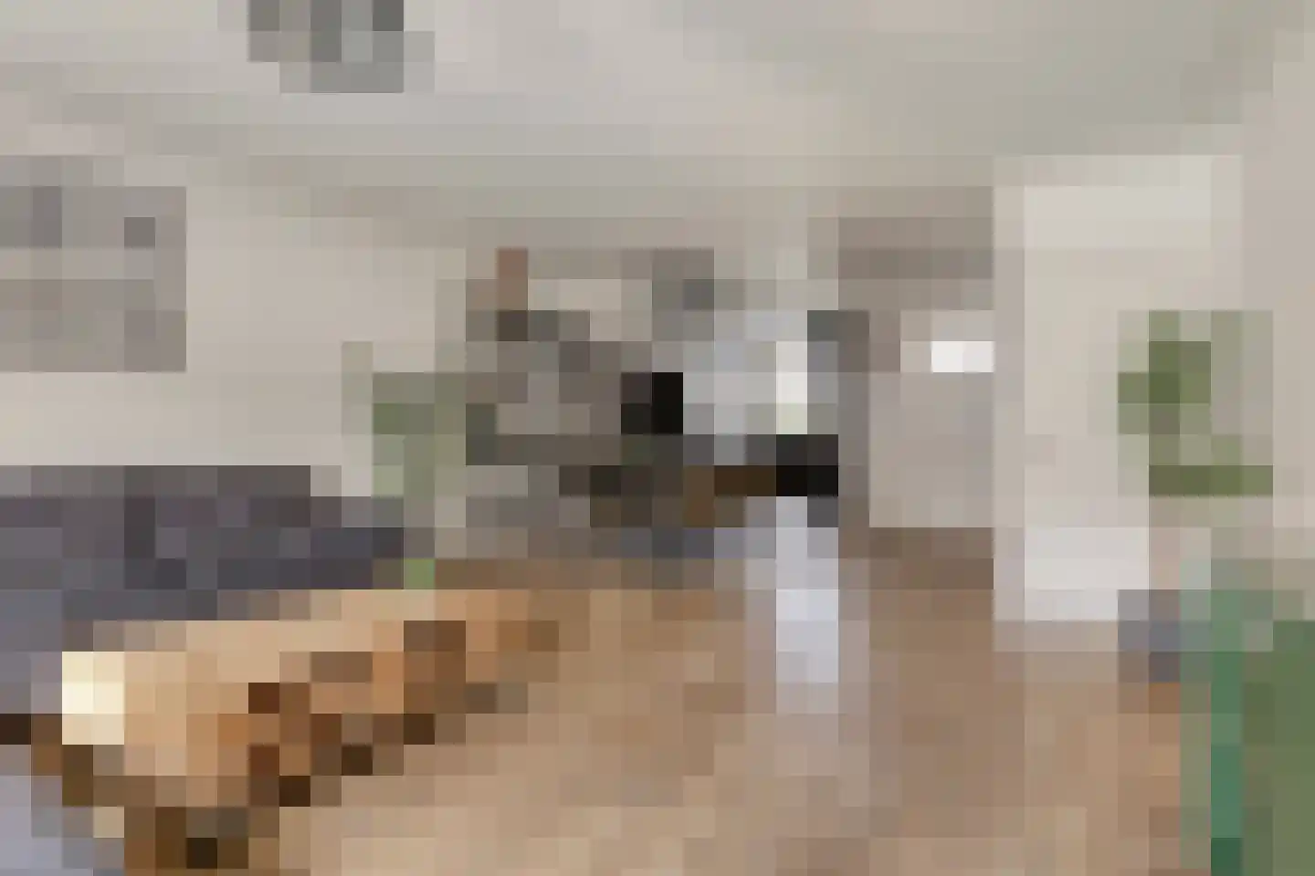 Twijnstraat 13 Geldrop thumbnail 13