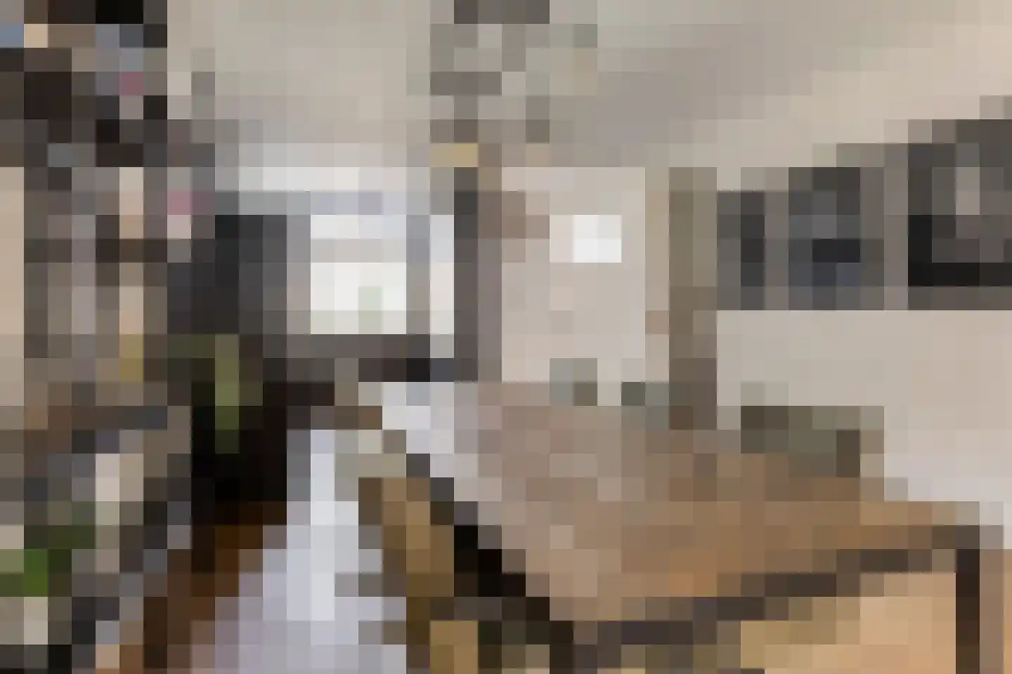 Twijnstraat 13 Geldrop thumbnail 14