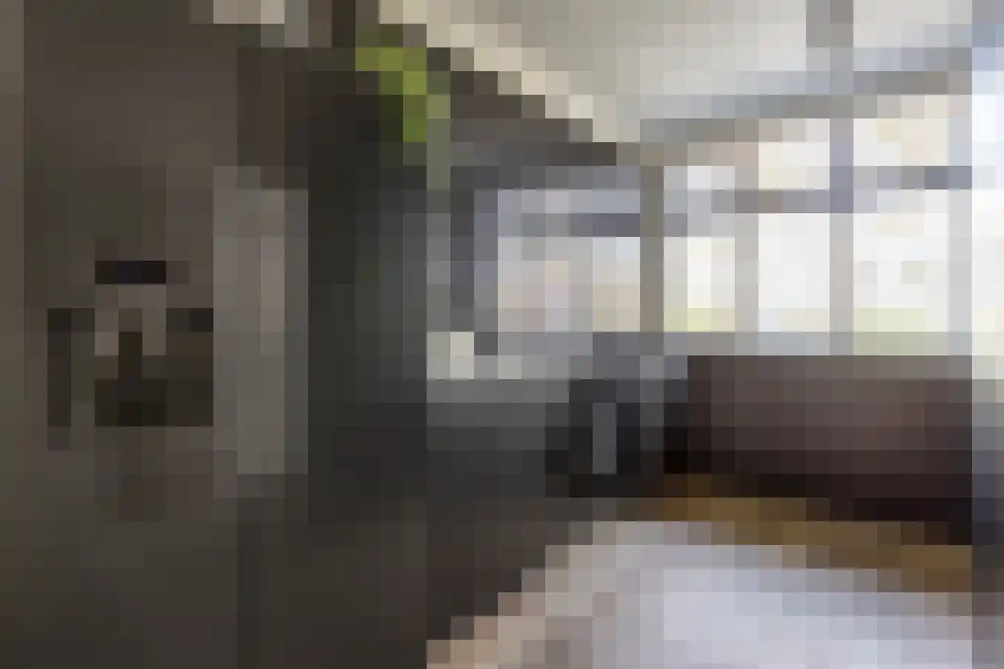 Twijnstraat 13 Geldrop thumbnail 15