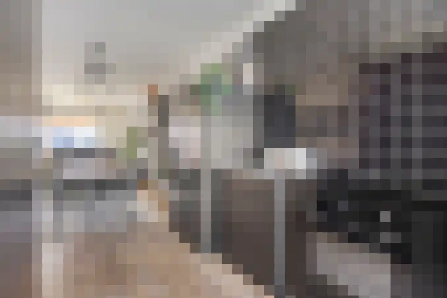 Twijnstraat 13 Geldrop thumbnail 17