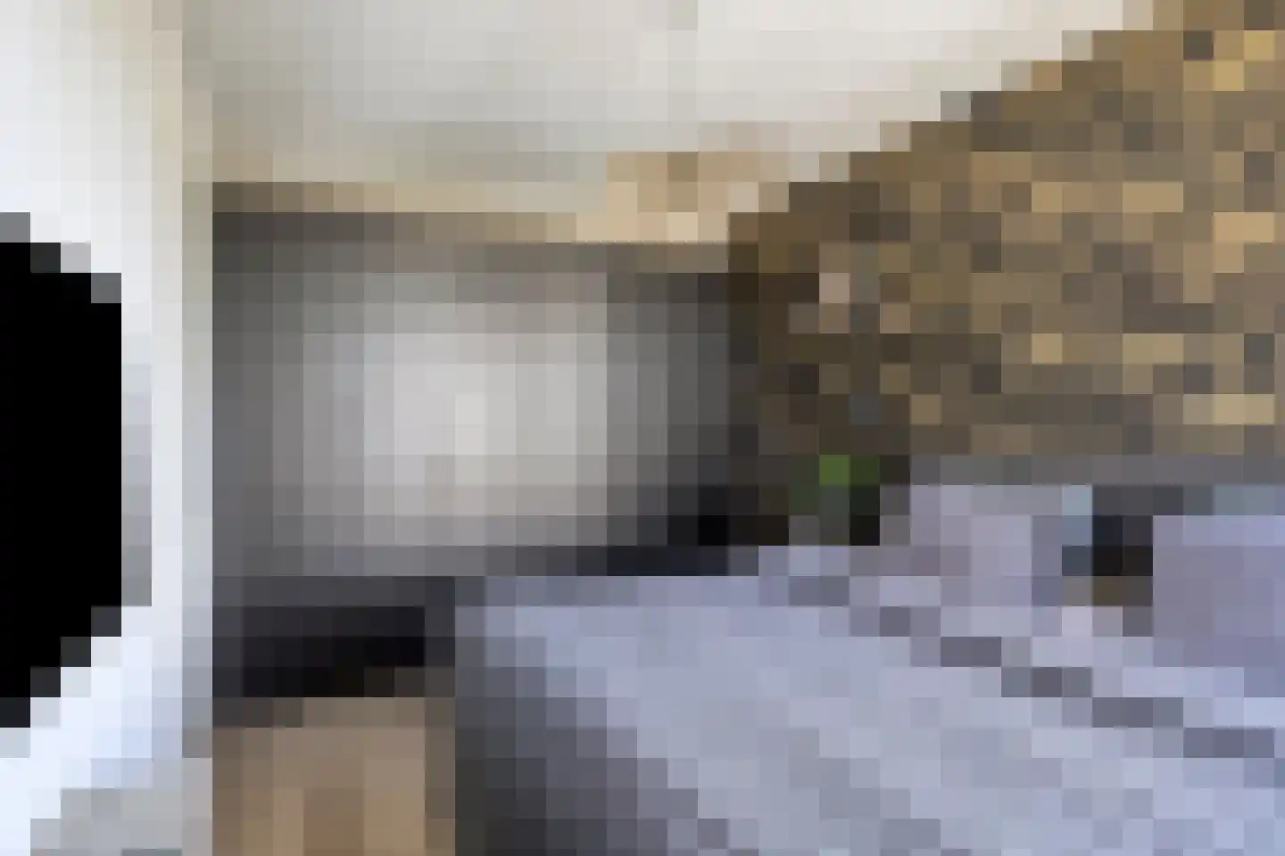 Twijnstraat 13 Geldrop thumbnail 22
