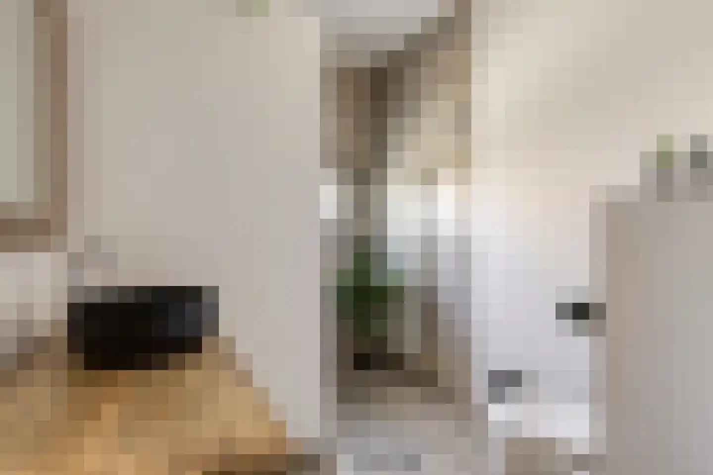 Twijnstraat 13 Geldrop thumbnail 25