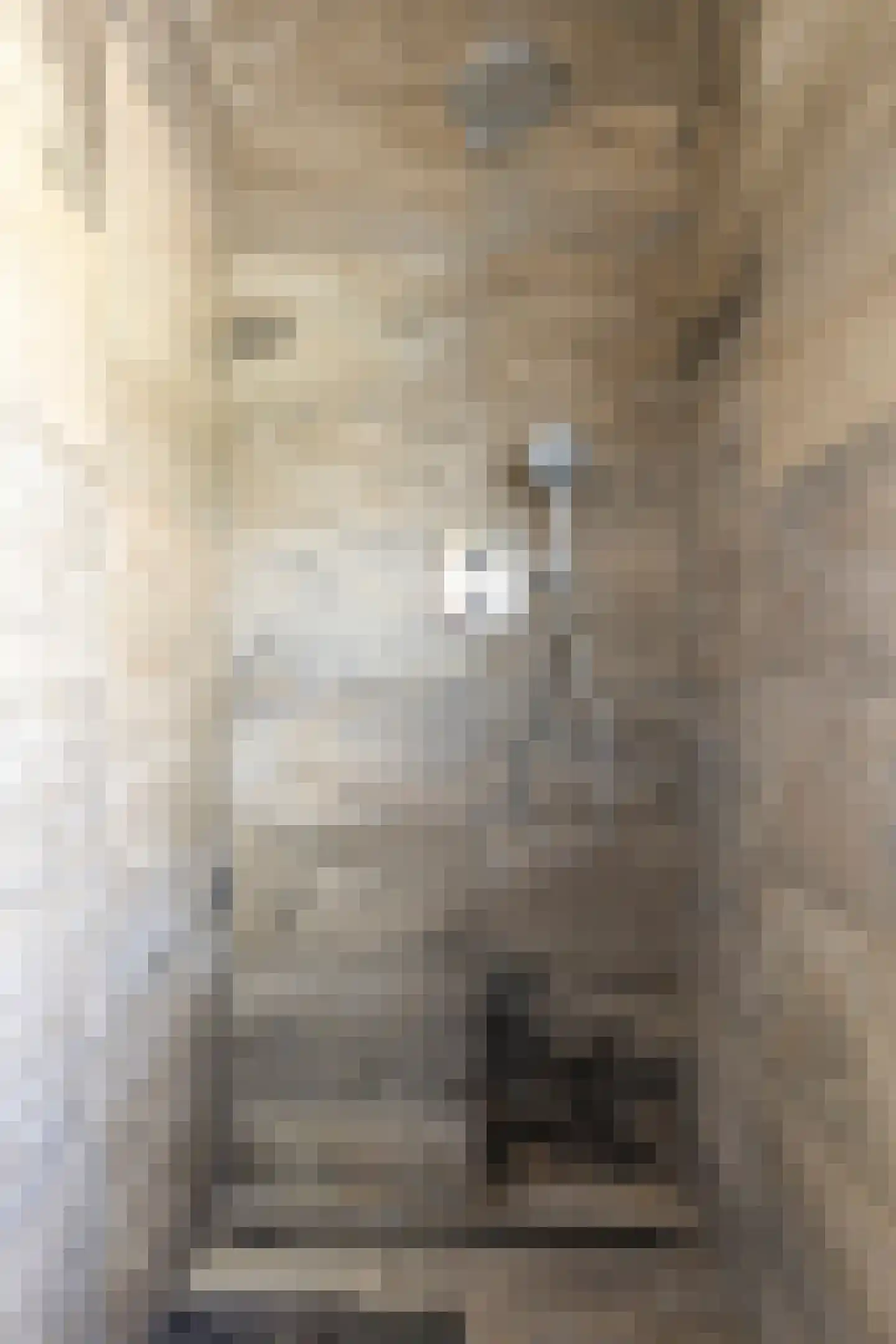 Twijnstraat 13 Geldrop thumbnail 27