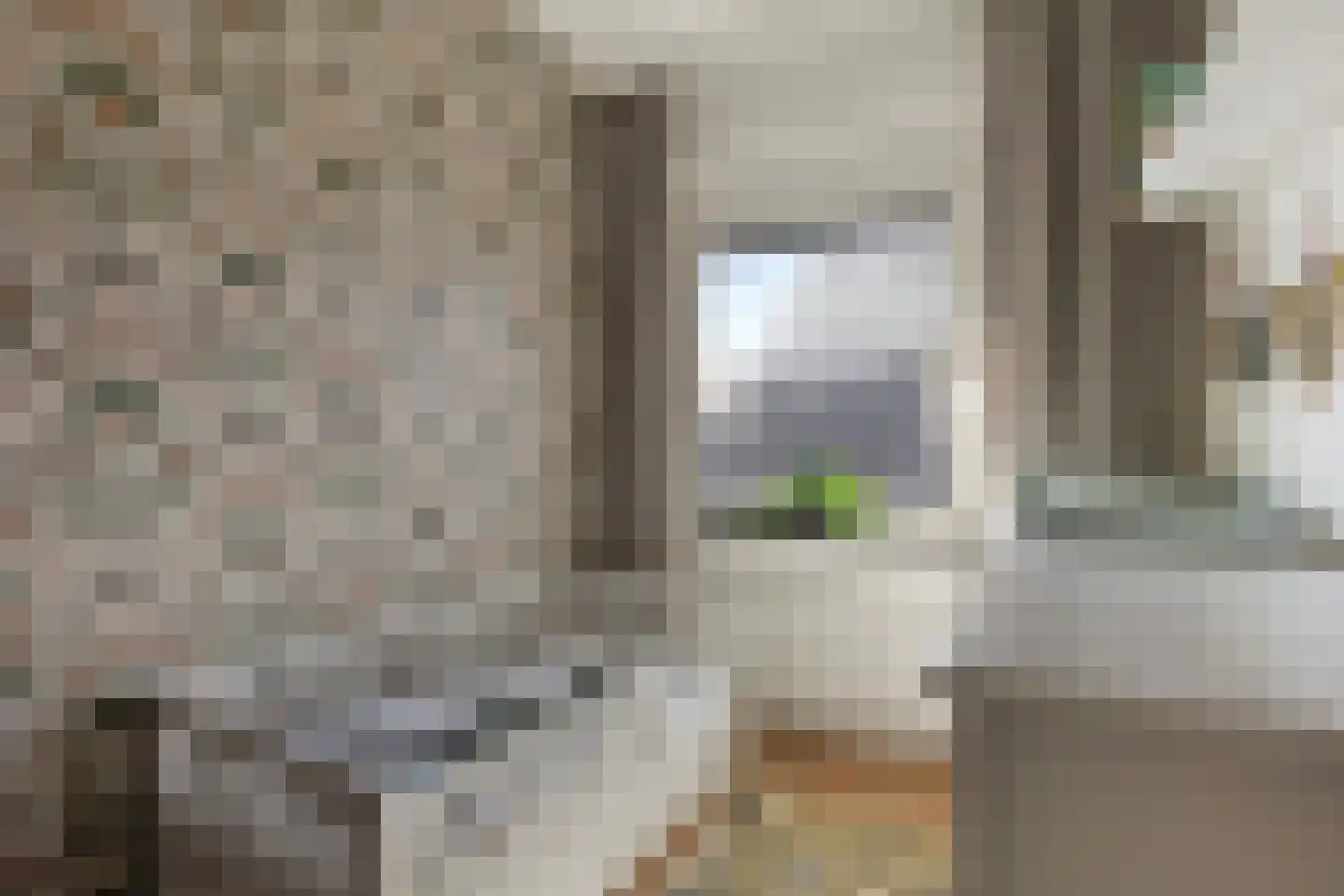 Twijnstraat 13 Geldrop thumbnail 33