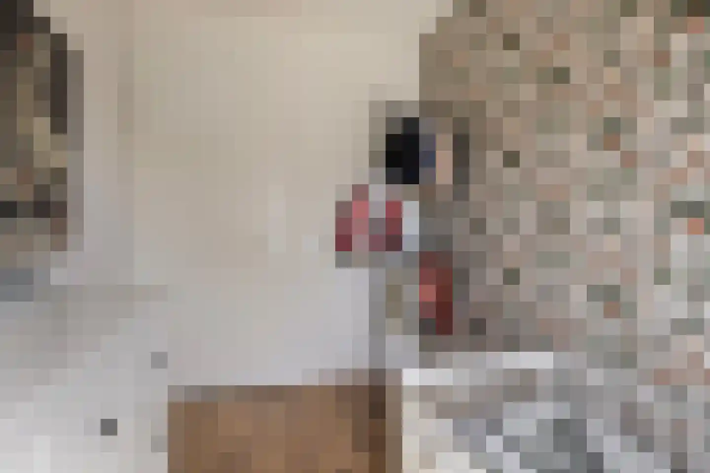 Twijnstraat 13 Geldrop thumbnail 34