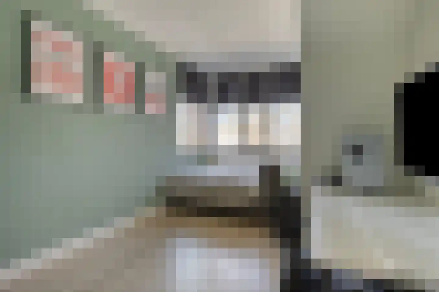 Twijnstraat 13 Geldrop thumbnail 37