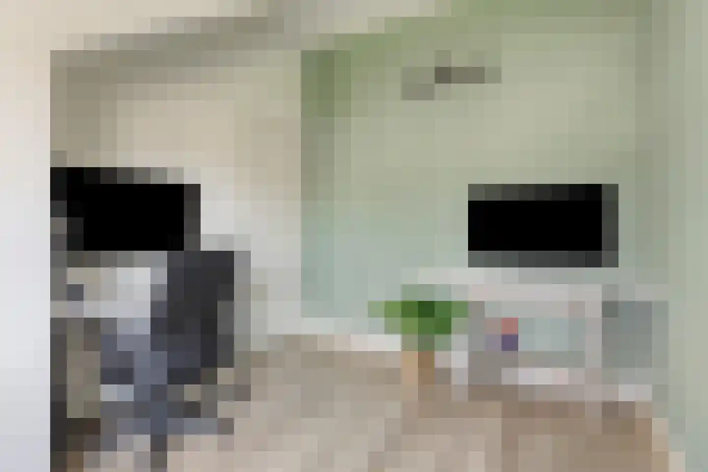Twijnstraat 13 Geldrop thumbnail 39