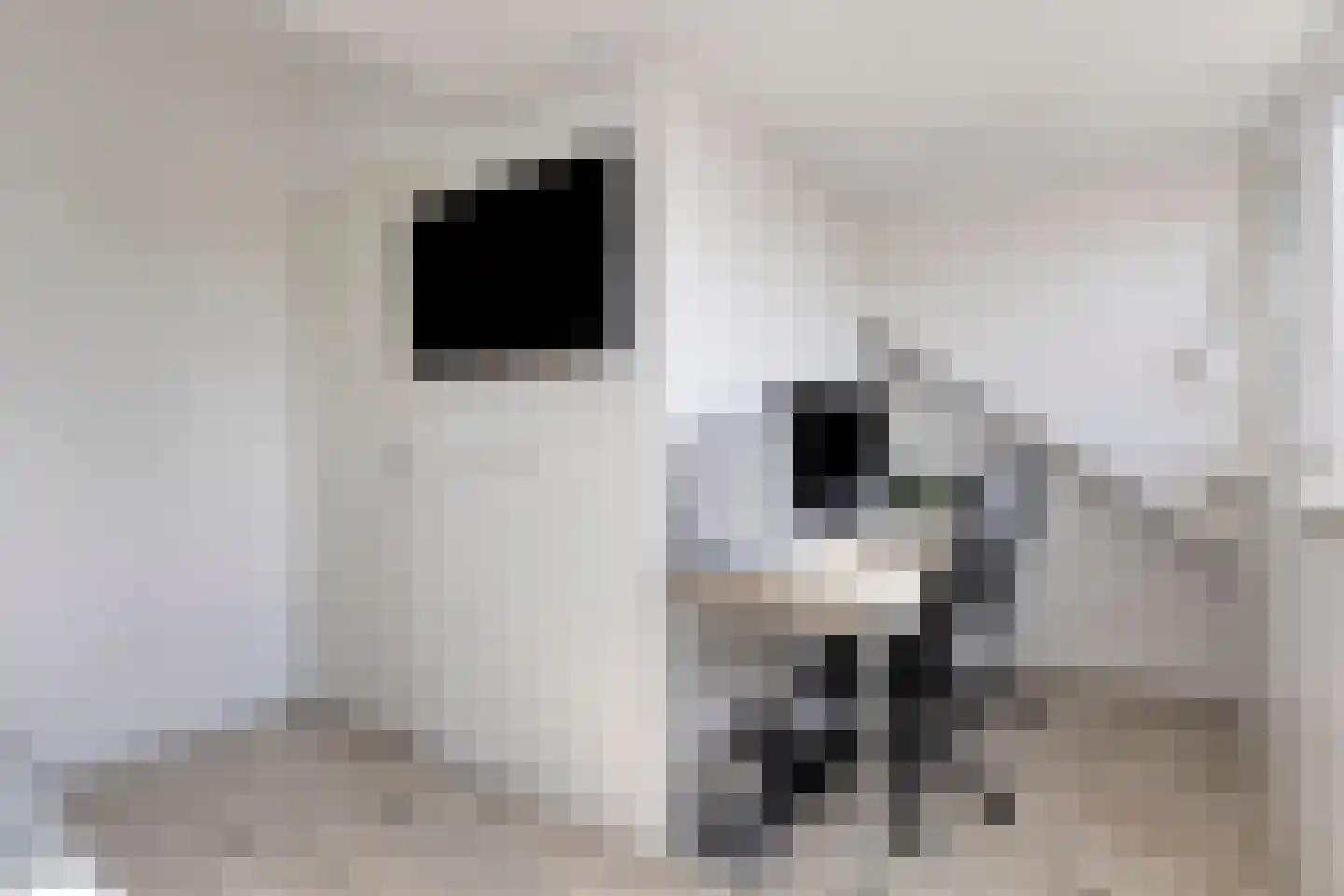 Twijnstraat 13 Geldrop thumbnail 40
