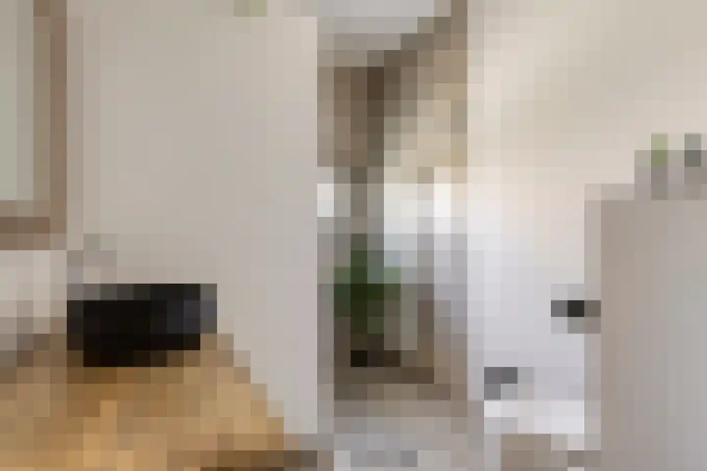 Twijnstraat 13 Geldrop thumbnail 5
