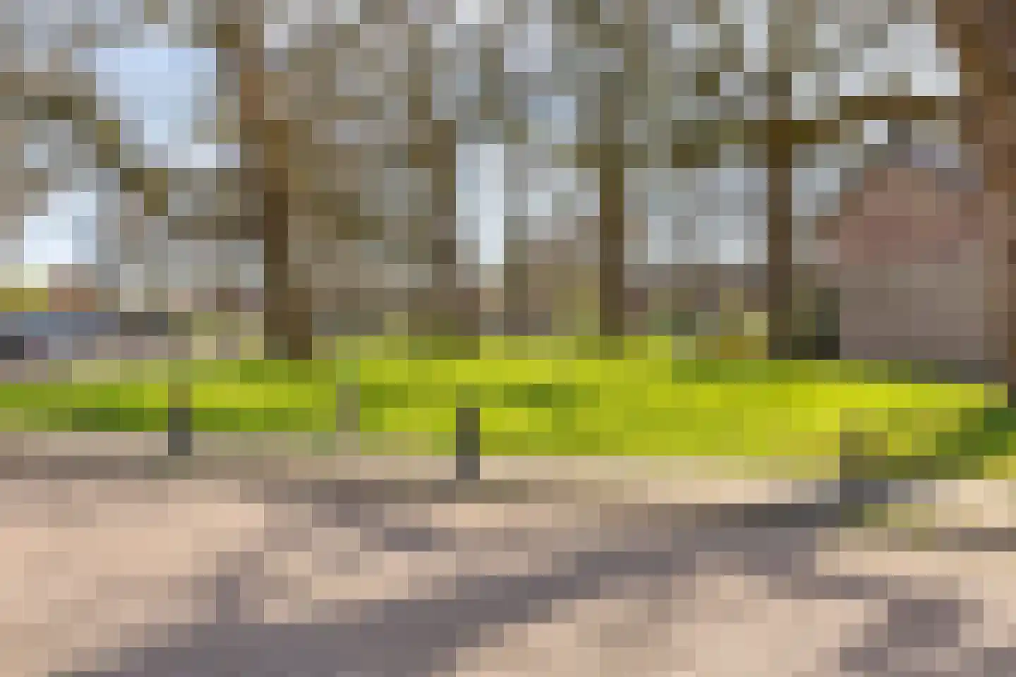 Twijnstraat 13 Geldrop thumbnail 52