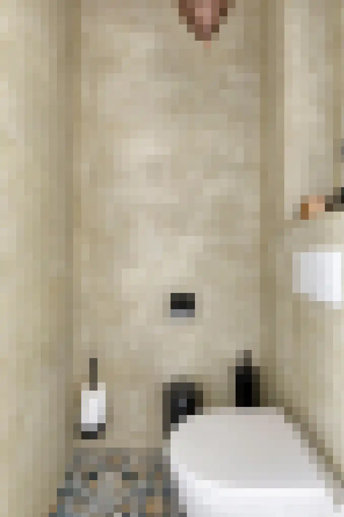 Twijnstraat 13 Geldrop thumbnail 9