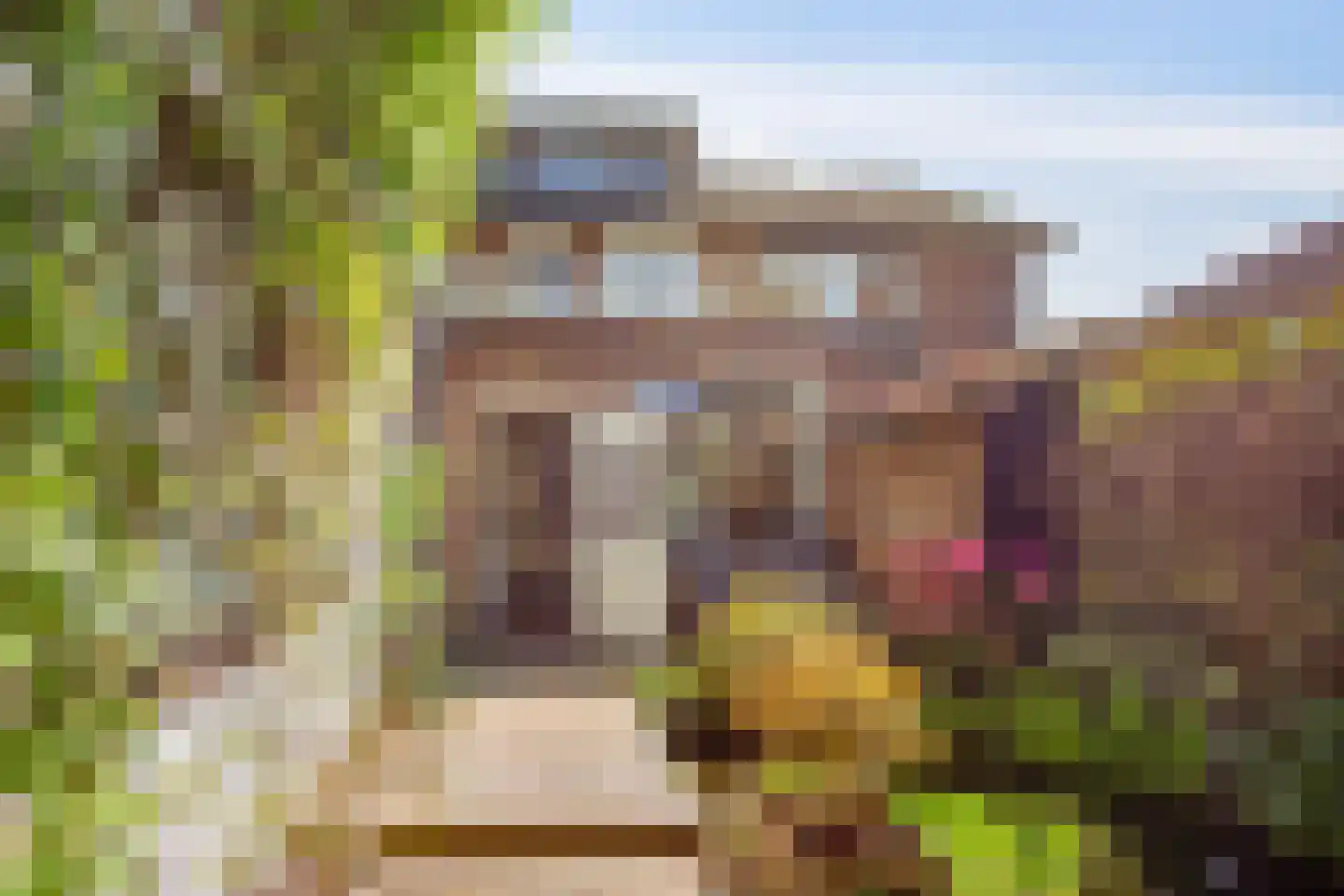 Twijnstraat 17 Ede thumbnail 29