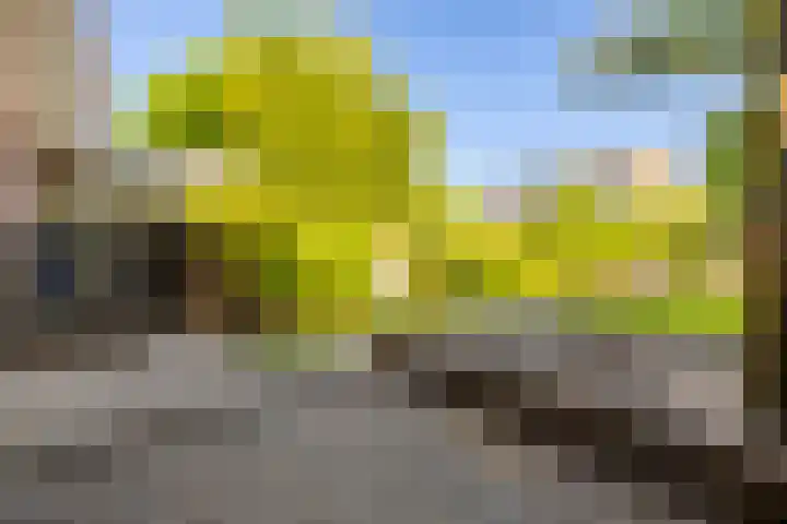 Twijnstraat 20 Ede thumbnail 42