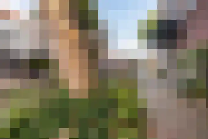 Twijnstraat 21 H Utrecht thumbnail 24