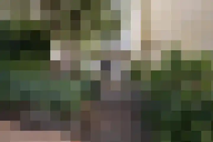 Twijnstraat 21 H Utrecht thumbnail 25