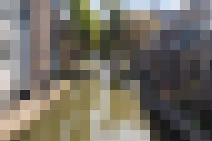 Twijnstraat 21 H Utrecht thumbnail 32