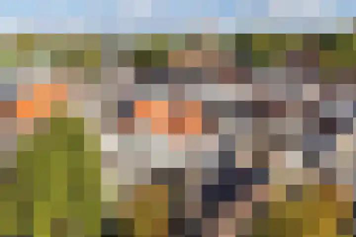 Twijnstraat 21 H Utrecht thumbnail 33