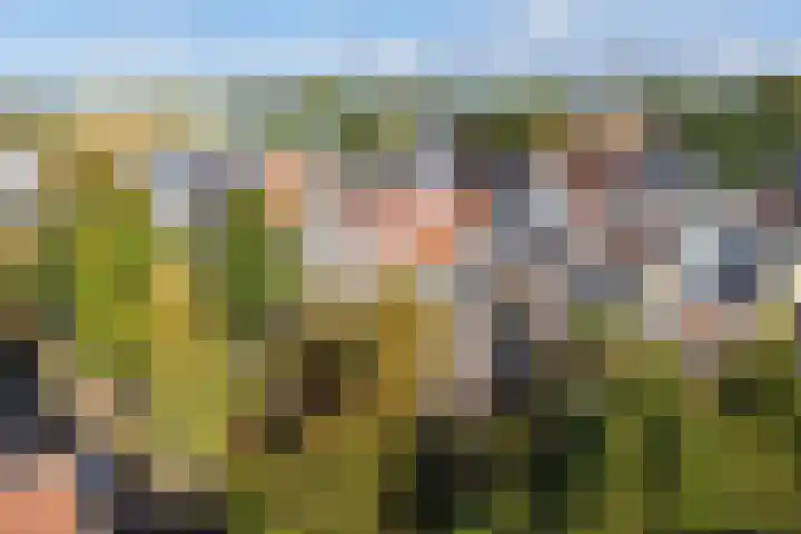 Twijnstraat 21 H Utrecht thumbnail 39