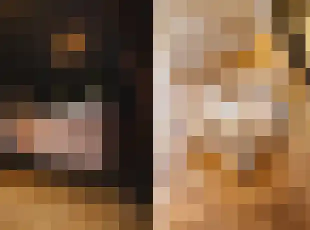 Twijnstraat 21 Utrecht thumbnail 5