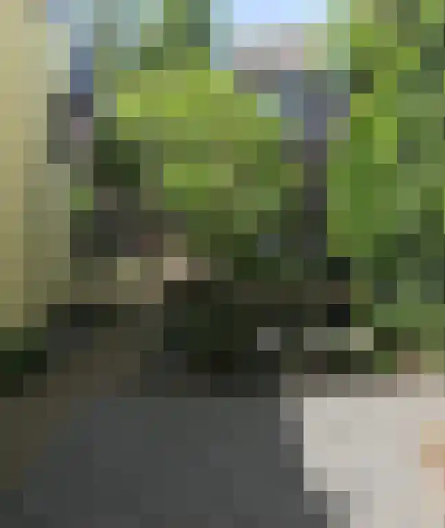 Twijnstraat 21 Utrecht thumbnail 6