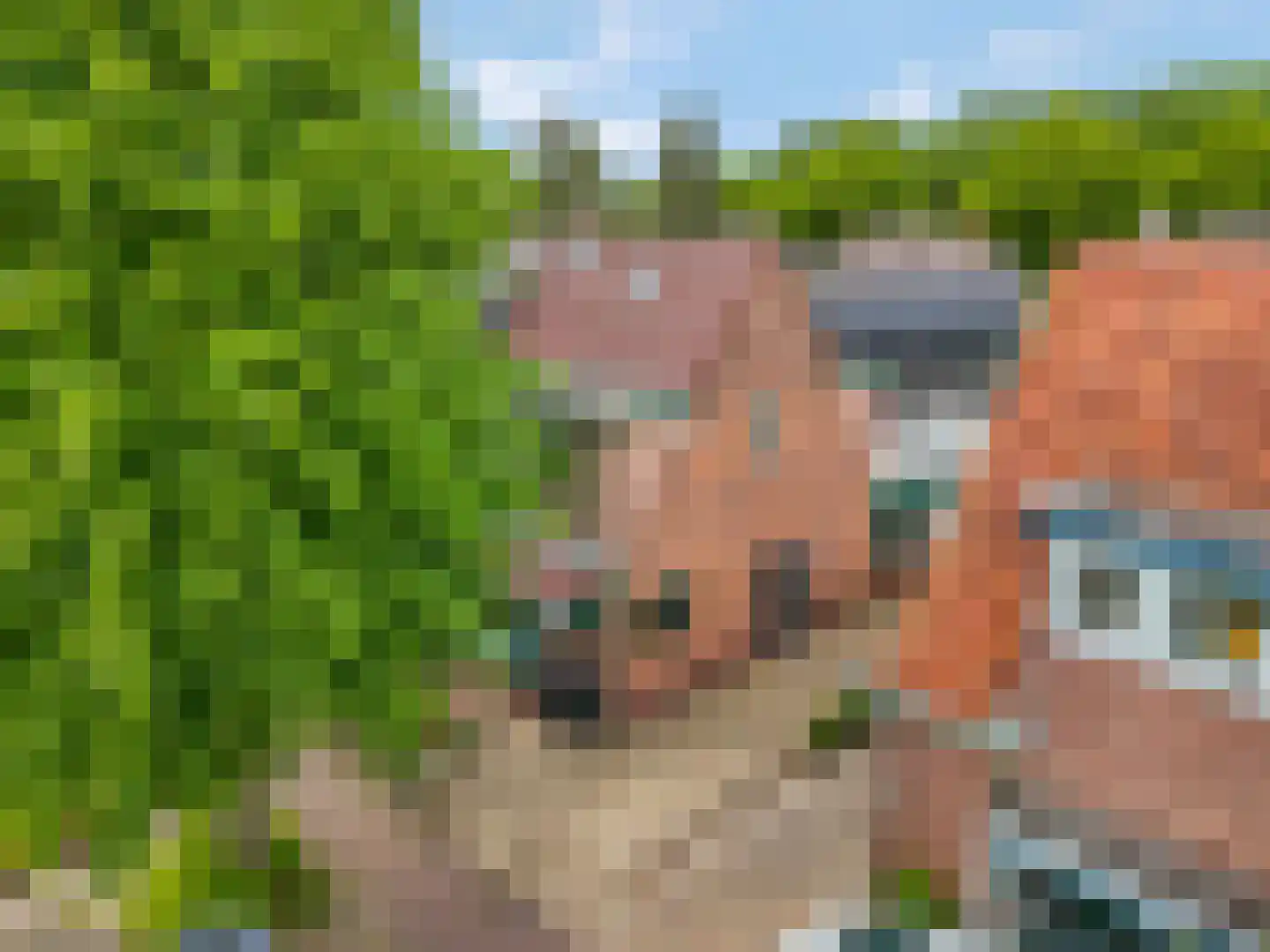 Twijnstraat 25 Ede thumbnail 32