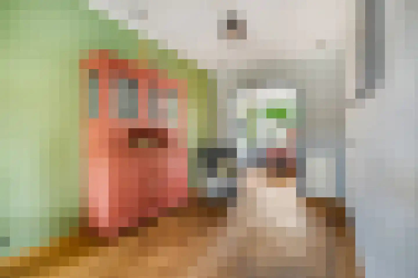 Twijnstraat 25 Ede thumbnail 6