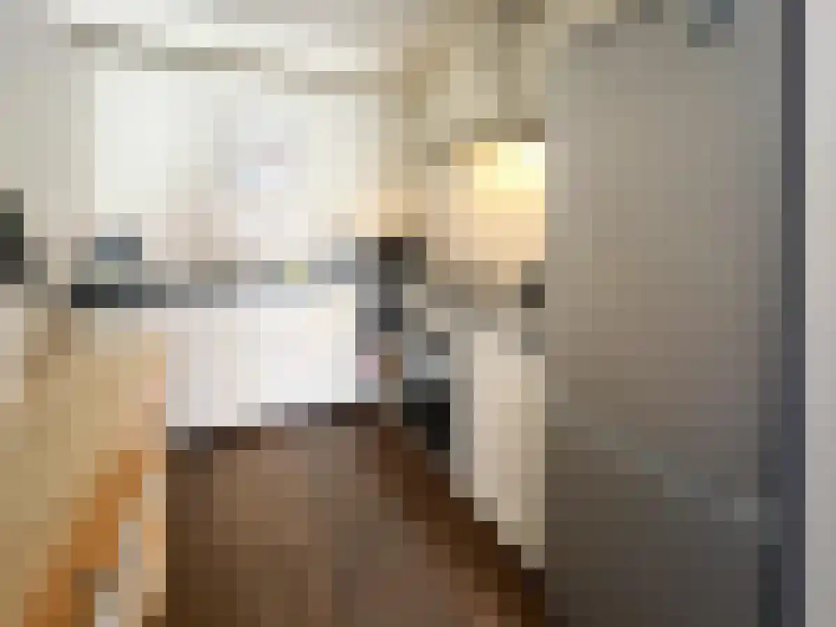 Twijnstraat 26 BS2 Utrecht thumbnail 4