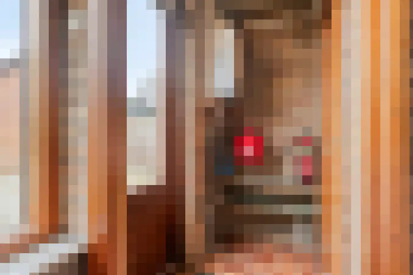 Twijnstraat 33 Ede thumbnail 25