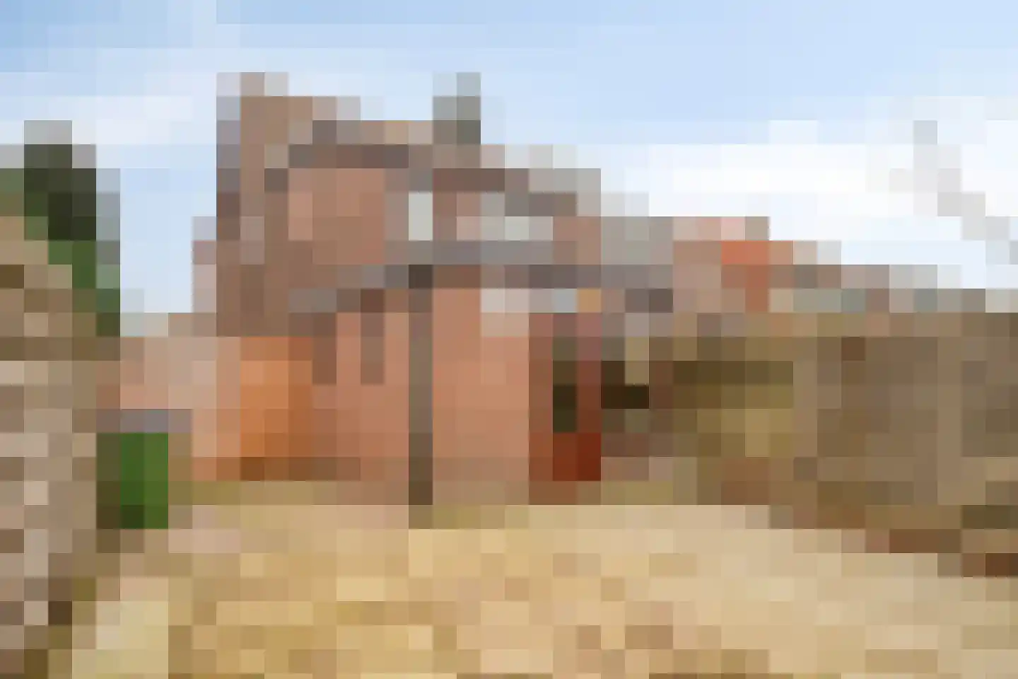 Twijnstraat 33 Ede thumbnail 33