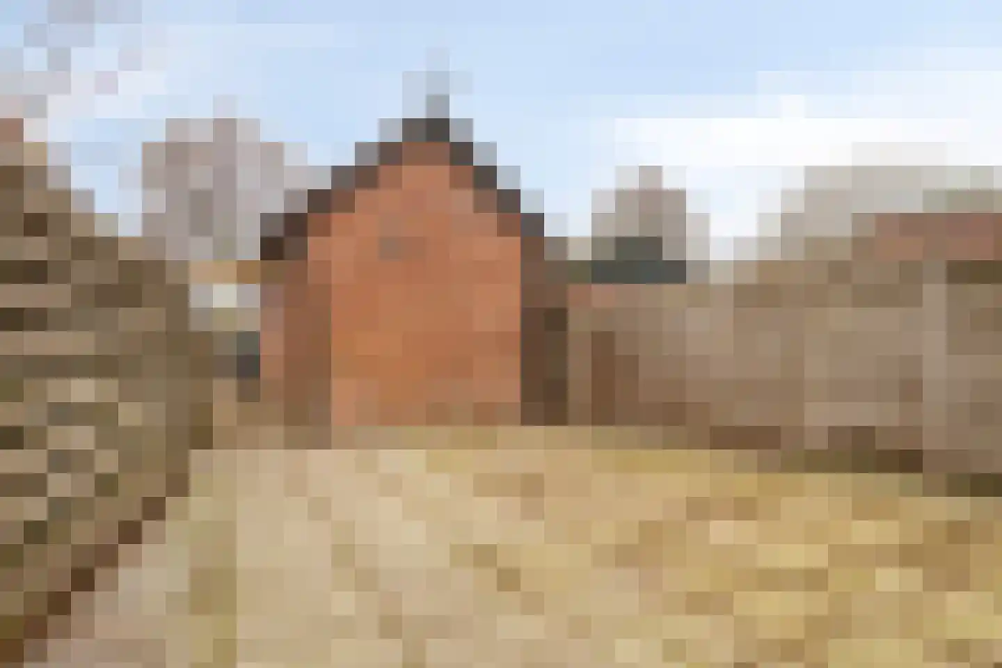 Twijnstraat 33 Ede thumbnail 34