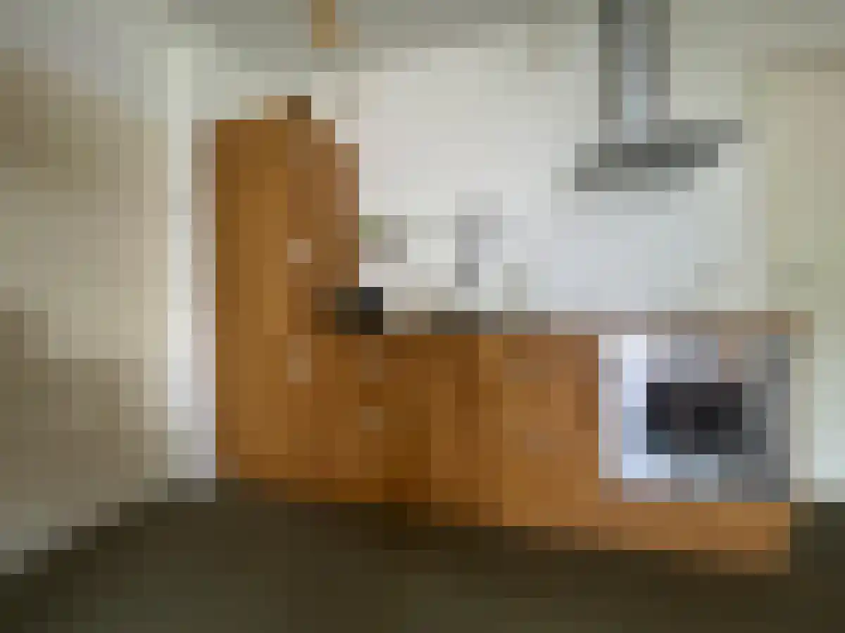 Twijnstraat 47 B Utrecht thumbnail 5