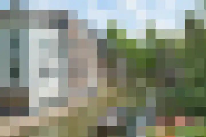 Twijnstraat 7 D Utrecht thumbnail 23
