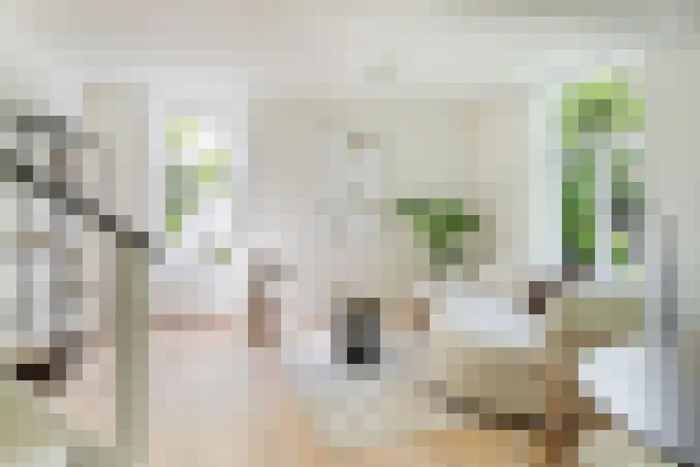 Twijnstraat aan de Werf 11 K Utrecht thumbnail 20