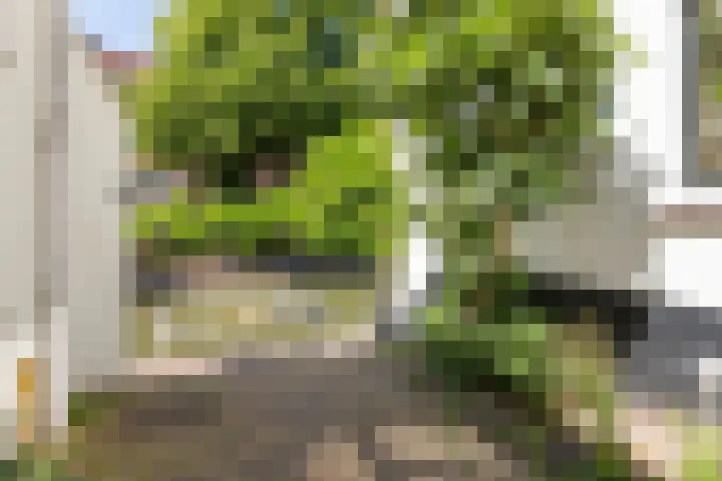 Twijnstraat aan de Werf 11 K Utrecht thumbnail 9