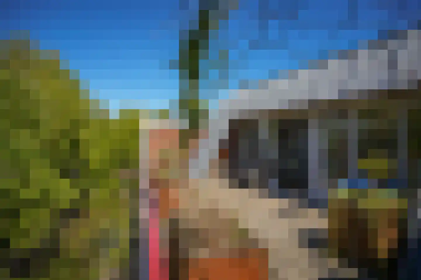 Twijnstraat aan de Werf 7 Utrecht thumbnail 46