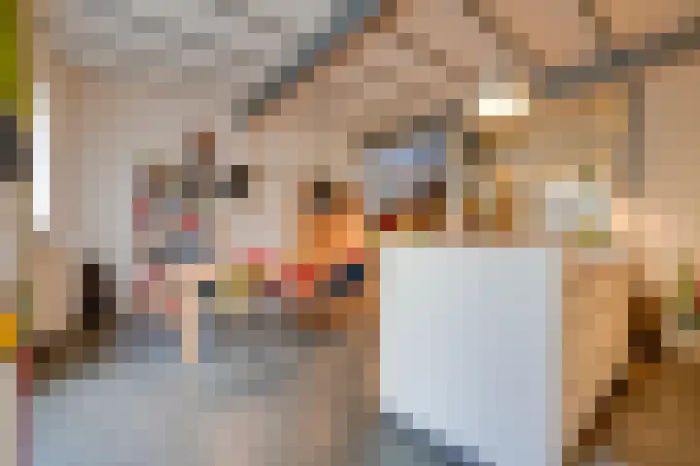 Twijnstraat aan de Werf 7 Utrecht thumbnail 6