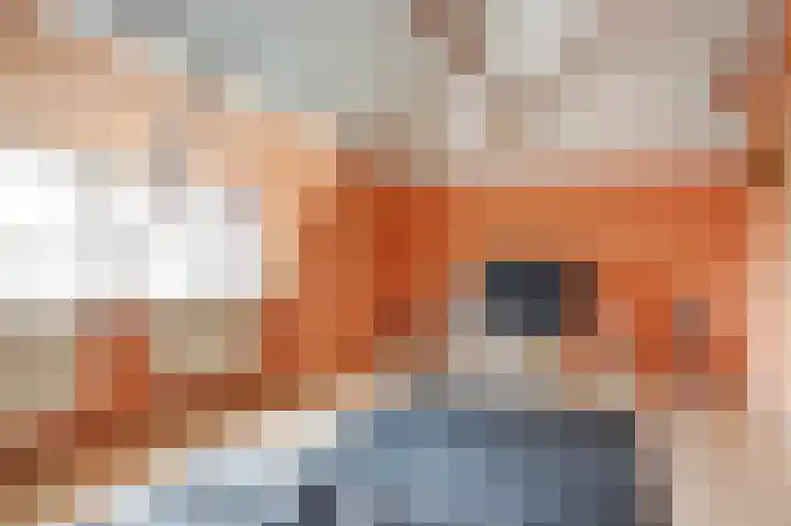 Twijver 21 Venhuizen thumbnail 18
