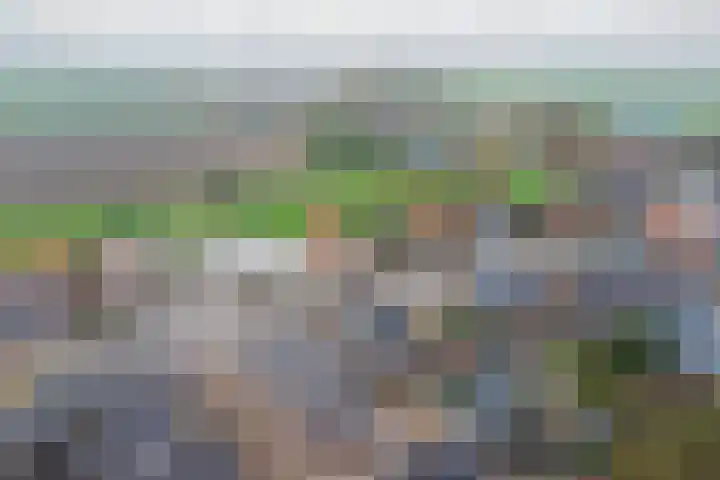 Twijver 21 Venhuizen thumbnail 31