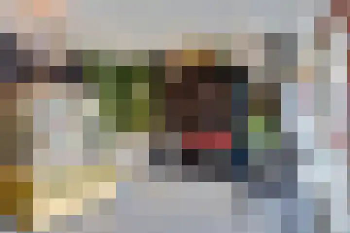 Twijver 21 Venhuizen thumbnail 5