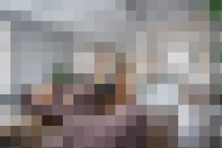 Twijver 59 Venhuizen thumbnail 10