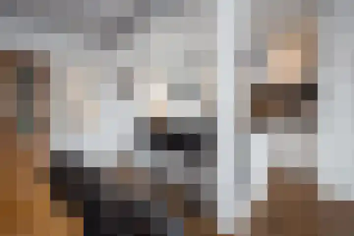 Twijver 59 Venhuizen thumbnail 11