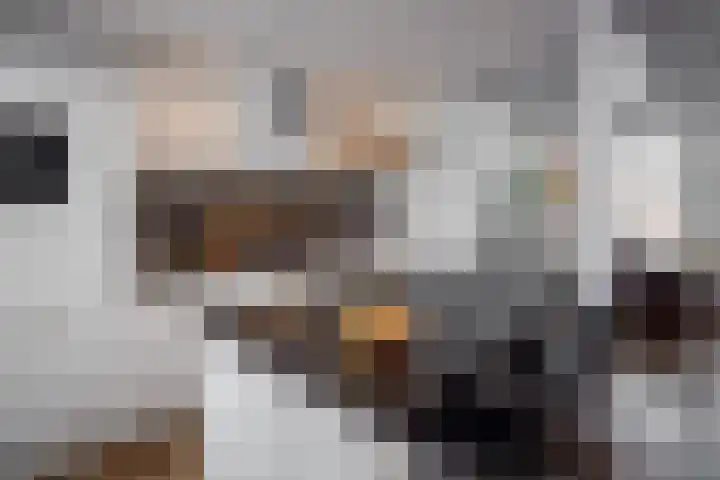 Twijver 59 Venhuizen thumbnail 12
